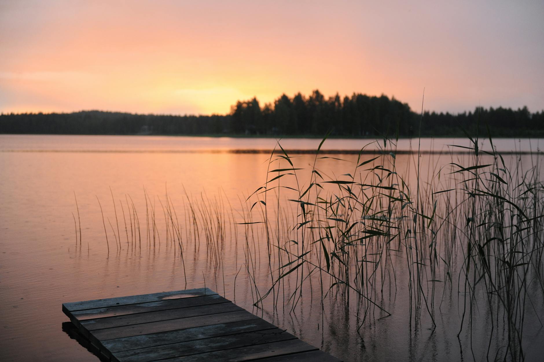 Finding Real Peace