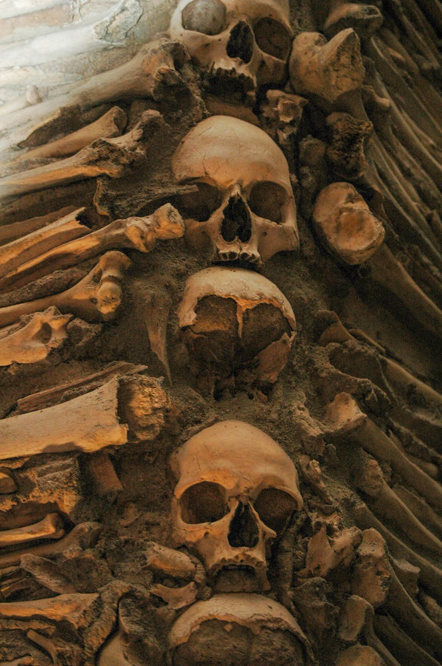 skulls and bones